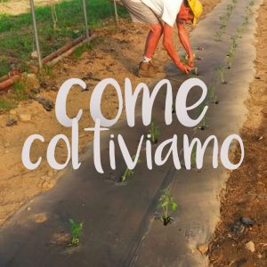 Come coltiviamo - Agricobi Cobi-farm