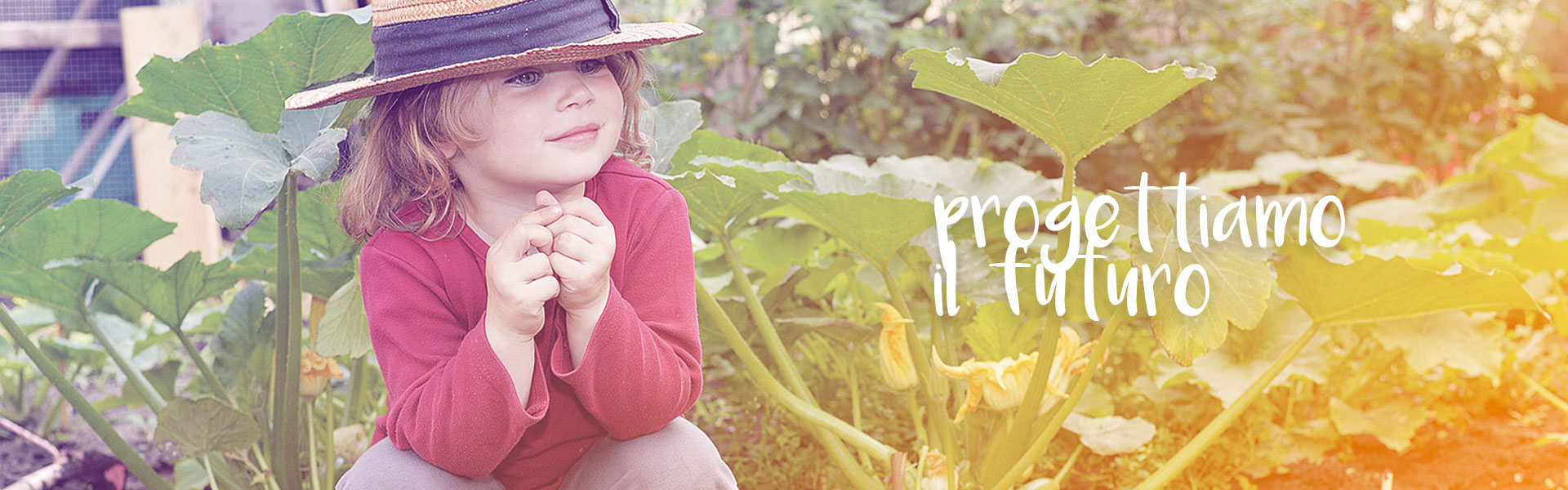 progetto cobifarm il progetto cobifarm
