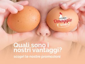 Scopri le nostre promozioni nei punti vendita agricobi