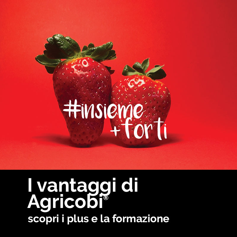 i vantaggi del franchising agricobi